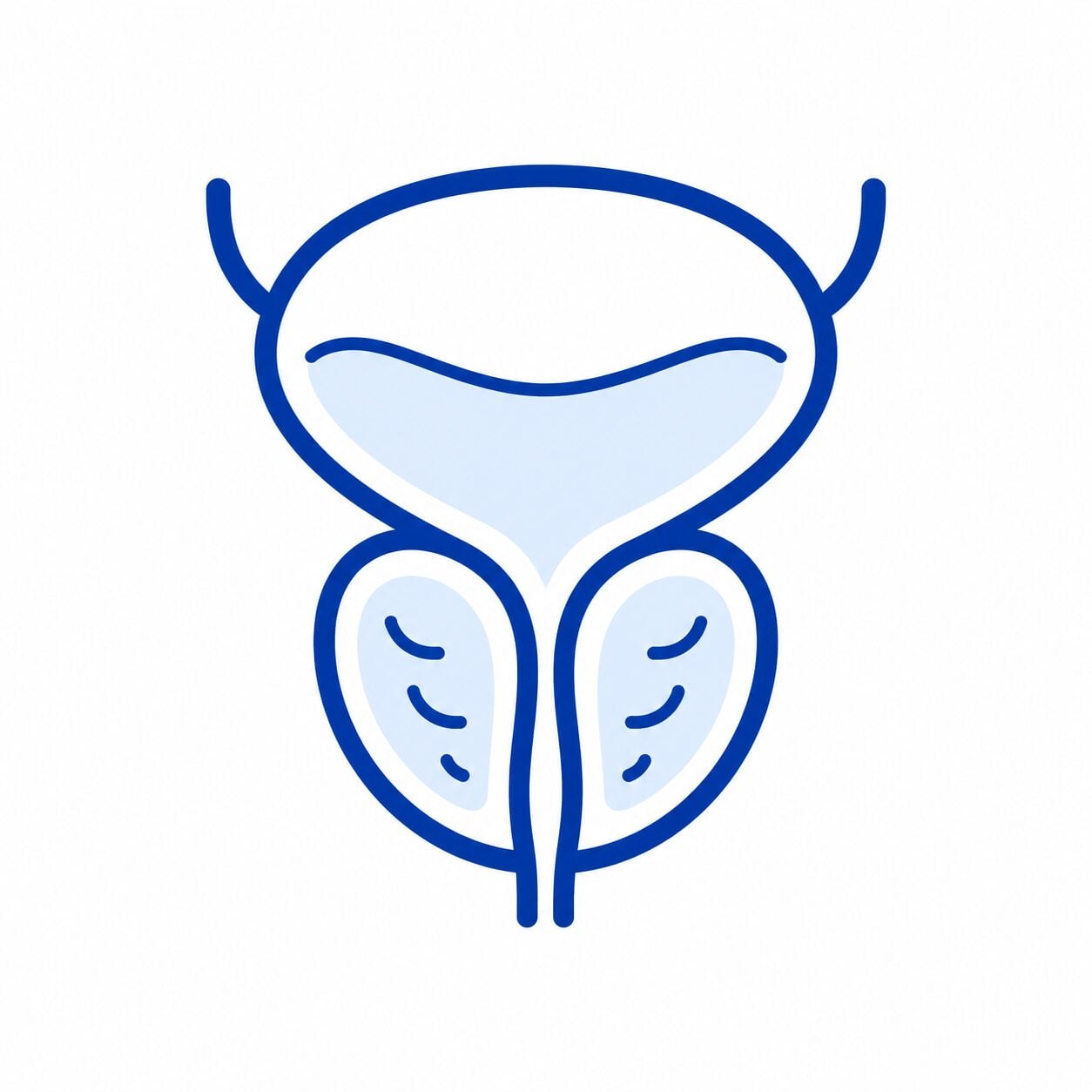 Urología | Clínica MEDS