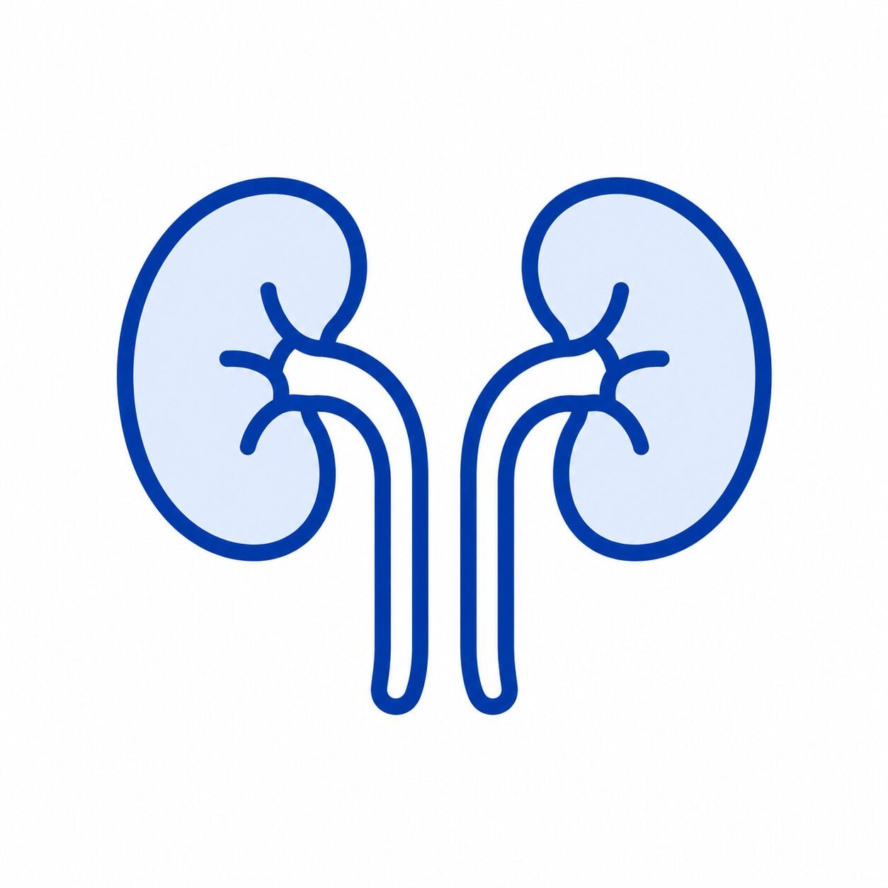 Urología | Clínica MEDS