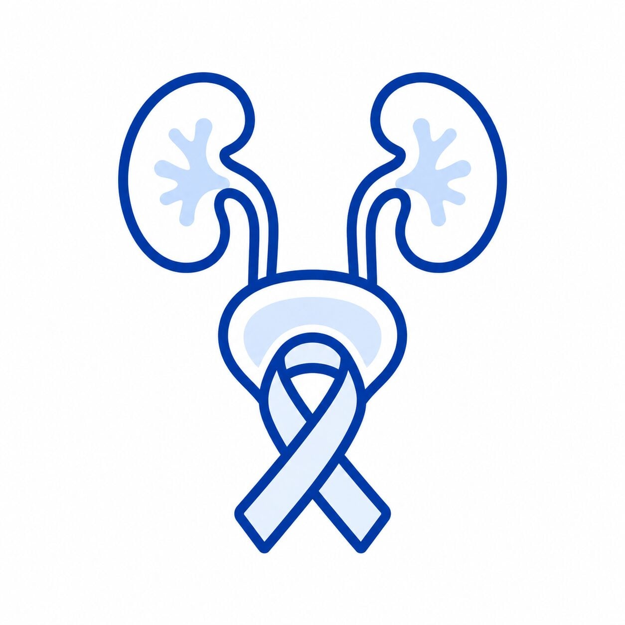 Urología | Clínica MEDS