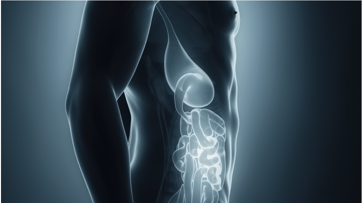 Gastroenterología | Clínica MEDS