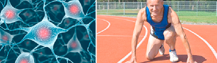 Sarcopenia